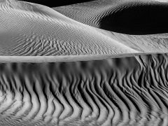 148 Kingdom of Sand 009